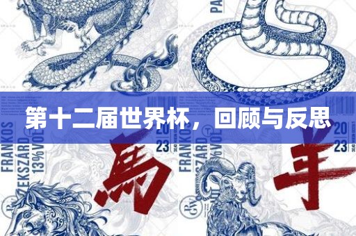 第十二届世界杯，回顾与反思