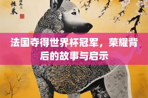 法国夺得世界杯冠军，荣耀背后的故事与启示