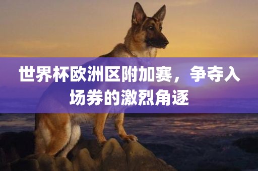 世界杯欧洲区附加赛，争夺入场券的激烈角逐