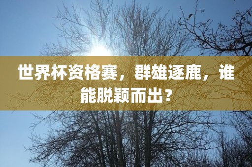 世界杯资格赛，群雄逐鹿，谁能脱颖而出？