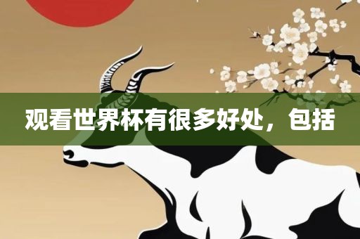 观看世界杯有很多好处，包括漯河市盈旭机械设备有限公司