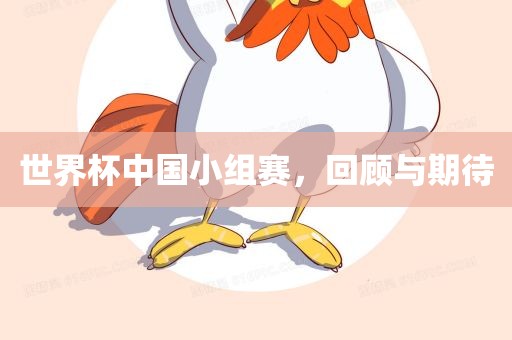 世界杯中国小组赛，回顾与期待