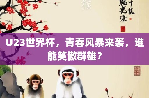 U23世界杯，青春风暴来袭，谁能笑傲群雄？