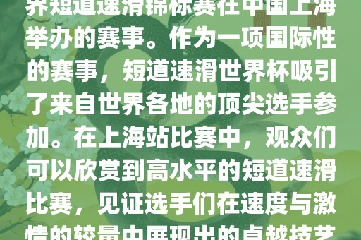 短道速滑世界杯上海站是指世界短道速滑锦标赛在中国上海举办的赛事。作为一项国际性的赛事，短道速滑世界杯吸引了来自世界各地的顶尖选手参加。在上海站比赛中，观众们可以欣赏到高水平的短道速滑比赛，见证选手们在速度与激情的较量中展现出的卓越技艺和竞技精神。漯河市盈旭机械设备有限公司