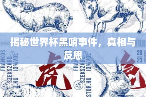 揭秘世界杯黑哨事件，真相与反思漯河市盈旭机械设备有限公司