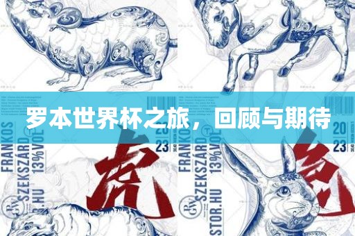 罗本世界杯之旅，回顾与期待漯河市盈旭机械设备有限公司