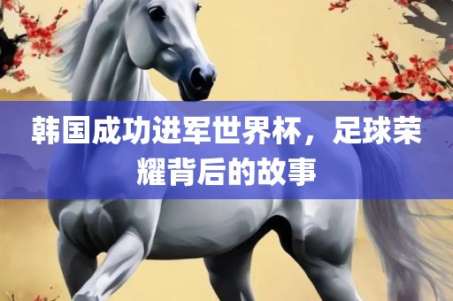 韩国成功进军世界杯，足球荣耀背后的故事漯河市盈旭机械设备有限公司