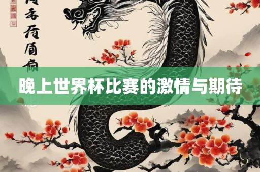 晚上世界杯比赛的激情与期待