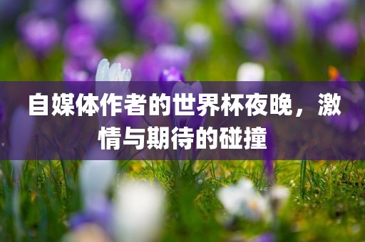 自媒体作者的世界杯夜晚，激情与期待的碰撞