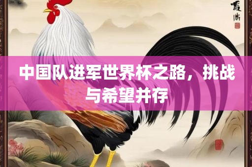 中国队进军世界杯之路，挑战与希望并存漯河市盈旭机械设备有限公司