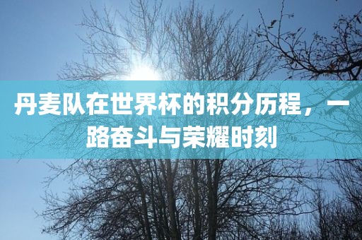 丹麦队在世界杯的积分历程，一路奋斗与荣耀时刻漯河市盈旭机械设备有限公司