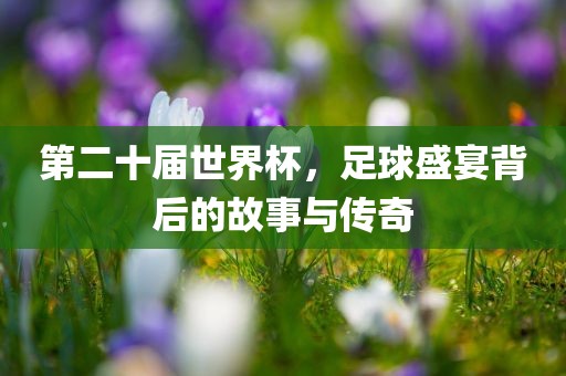 第二十届世界杯，足球盛宴背后的故事与传奇漯河市盈旭机械设备有限公司