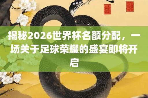 揭秘2026世界杯名额分配，一场关于足球荣耀的盛宴即将开启漯河市盈旭机械设备有限公司