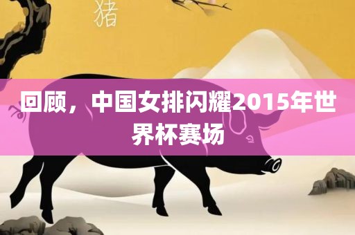 回顾，中国女排闪耀2015年世界杯赛场