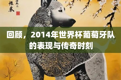 回顾，2014年世界杯葡萄牙队的表现与传奇时刻