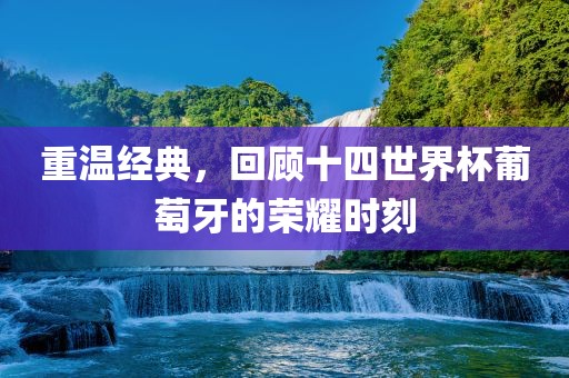 重温经典，回顾十四世界杯葡萄牙的荣耀时刻漯河市盈旭机械设备有限公司