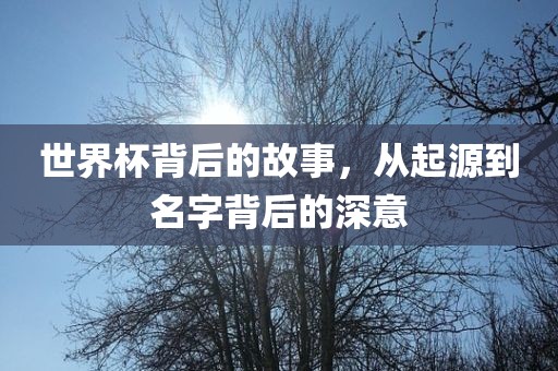世界杯背后的故事，从起源到名字背后的深意漯河市盈旭机械设备有限公司