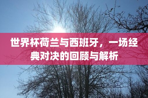 世界杯荷兰与西班牙，一场经典对决的回顾与解析
