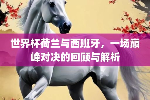 世界杯荷兰与西班牙，一场巅峰对决的回顾与解析