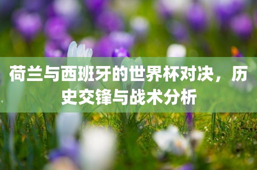 荷兰与西班牙的世界杯对决，历史交锋与战术分析