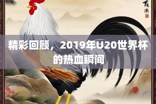 精彩回顾，2019年U20世界杯的热血瞬间