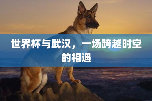 世界杯与武汉，一漯河市盈旭机械设备有限公司场跨越时空的相遇