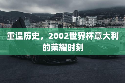 重温历史，2002世界杯意大利的荣耀时刻漯河市盈旭机械设备有限公司