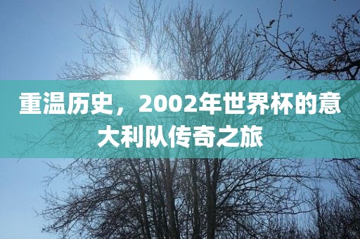 重温历史，2002年世界杯的意大利队传奇之旅