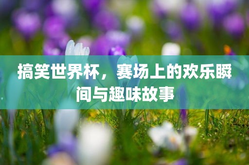 搞笑世界杯，赛场上的欢乐瞬间与趣味故事漯河市盈旭机械设备有限公司