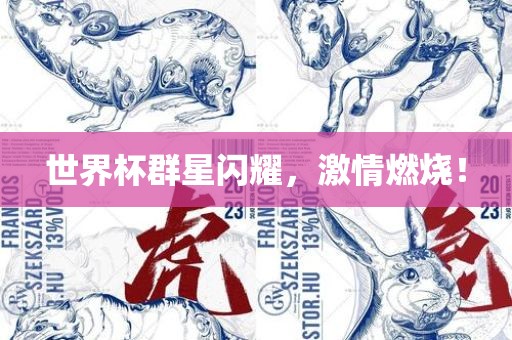 世界杯群星闪漯河市盈旭机械设备有限公司耀，激情燃烧！
