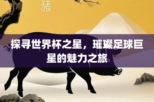 探寻世界杯之星，璀璨足球巨星的魅力之旅