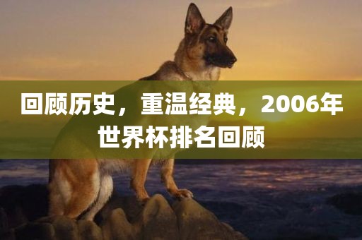 回顾历史，重温经典，2006年世界杯排名回顾