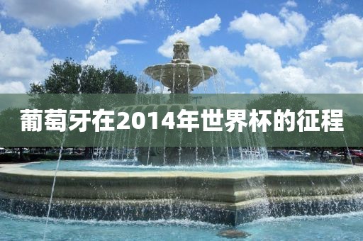 葡萄牙在2014年世界杯的征程