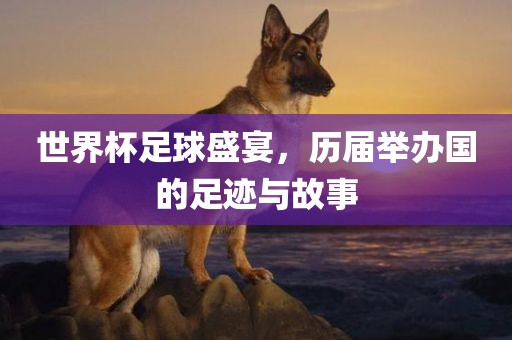 世界杯足球盛宴，历届举办国的足迹与故事漯河市盈旭机械设备有限公司