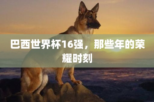 巴西世界杯16强，那些年的荣耀时刻漯河市盈旭机械设备有限公司