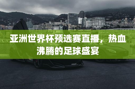 亚洲世界杯预选赛直播，热血沸腾的足球盛宴
