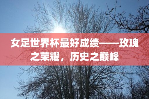 女足世界杯最好成绩——玫瑰之荣耀，历史之巅峰
