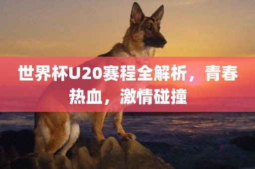 世界杯U20赛程全解析，青春热血，激情碰撞漯河市盈旭机械设备有限公司