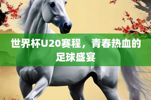 世界杯U20赛程，青春热血的足球盛宴