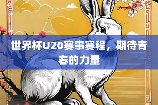 漯河市盈旭机械设备有限公司世界杯U20赛事赛程，期待青春的力量
