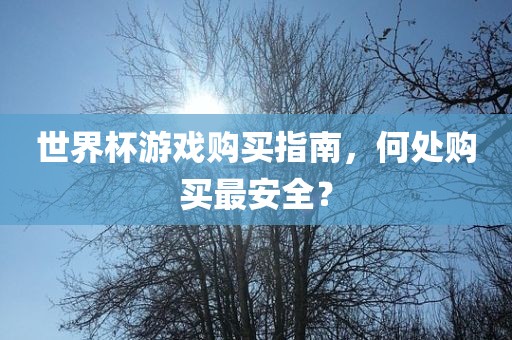 世界杯游戏购买指南，何处购买最安全？漯河市盈旭机械设备有限公司