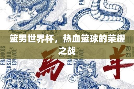 篮男世界漯河市盈旭机械设备有限公司杯，热血篮球的荣耀之战