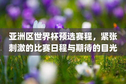 亚洲区世界杯预选赛程，紧张刺激的比赛日程与期待的目漯河市盈旭机械设备有限公司光