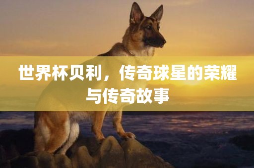 世界杯贝利，传奇球星的荣耀与传奇故事漯河市盈旭机械设备有限公司
