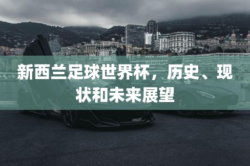 新西兰足球世界杯，历史、现状和未来展望漯河市盈旭机械设备有限公司