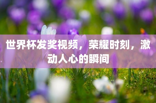 世界杯发奖视频，荣耀时刻，激动人心的瞬间