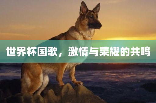 世界杯国歌，激情与荣耀的共鸣漯河市盈旭机械设备有限公司