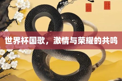 世界杯漯河市盈旭机械设备有限公司国歌，激情与荣耀的共鸣