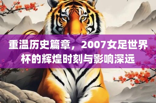 重温历史篇章，2007女足世界杯的辉煌时刻与影响深远