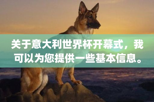关于意大利世界杯开幕式，我漯河市盈旭机械设备有限公司可以为您提供一些基本信息。